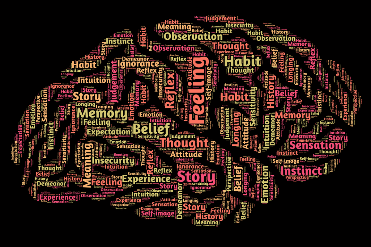 mentorlytics_mind
